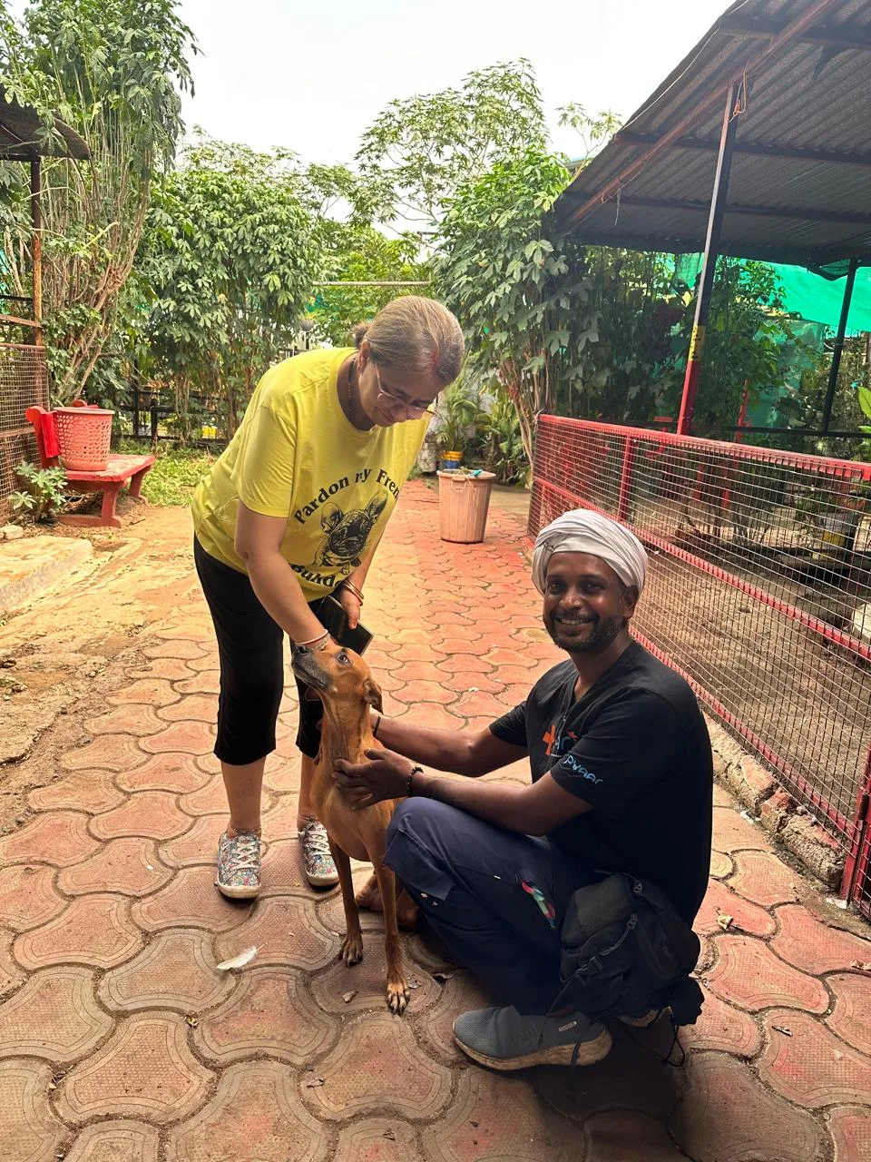 Pyaar Foundation Animal welfare NGO & shelter chandrapur