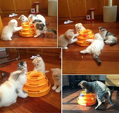 4Legs Pet store