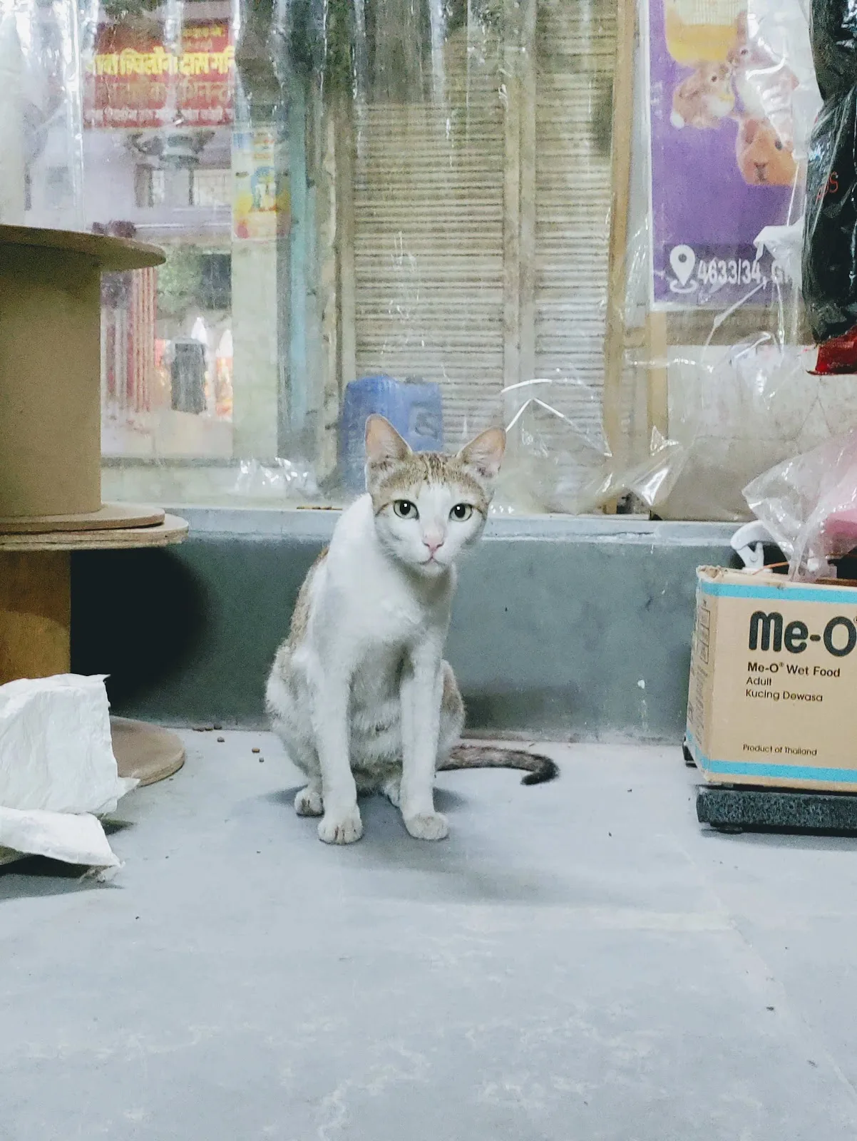 4Legs Pet store
