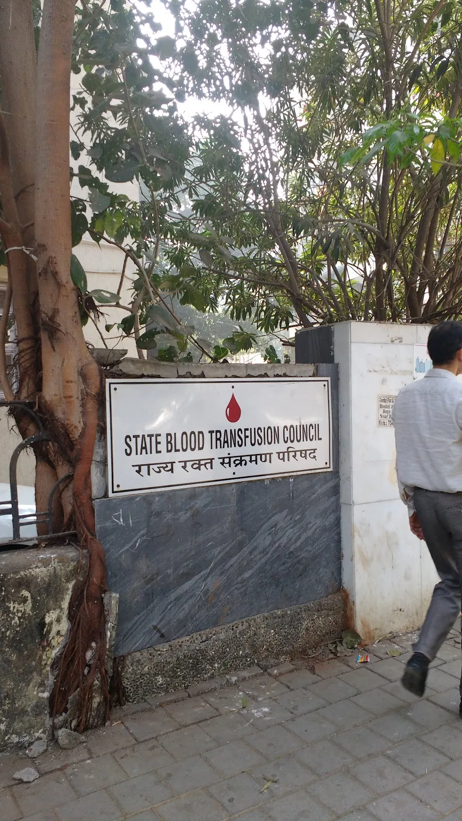 State Blood Transfusion Council