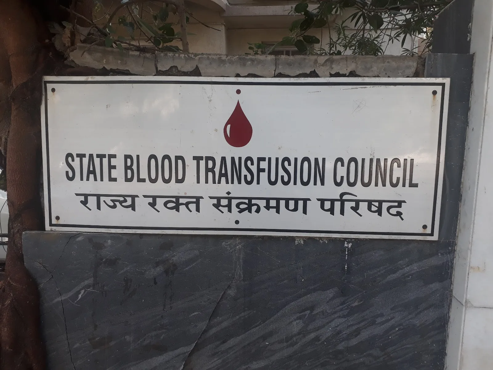 State Blood Transfusion Council