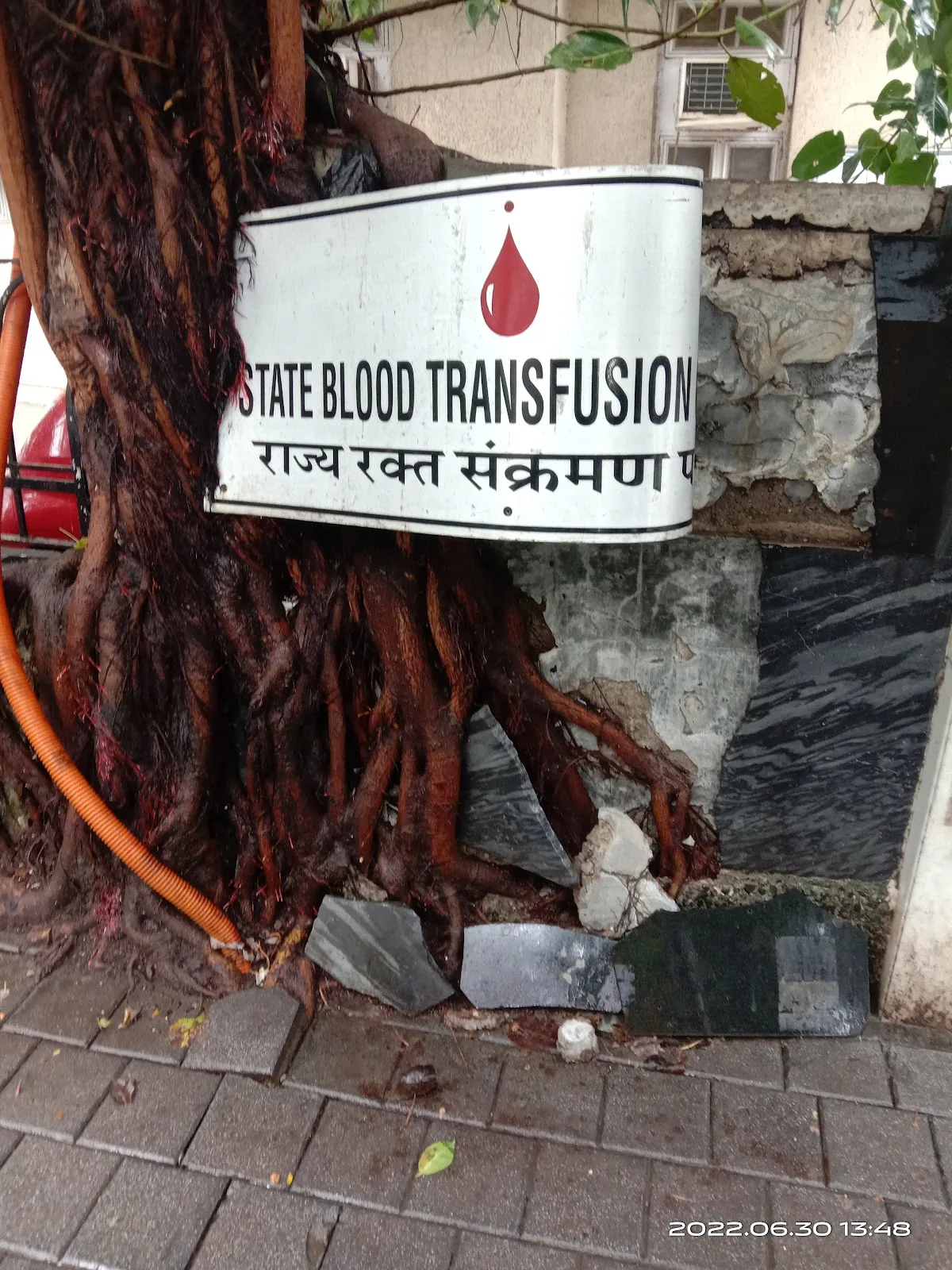 State Blood Transfusion Council
