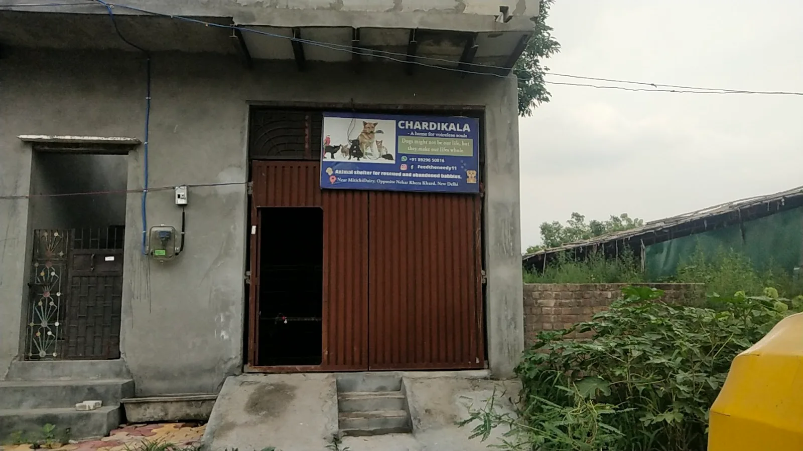 Chardikala Animal Shelter