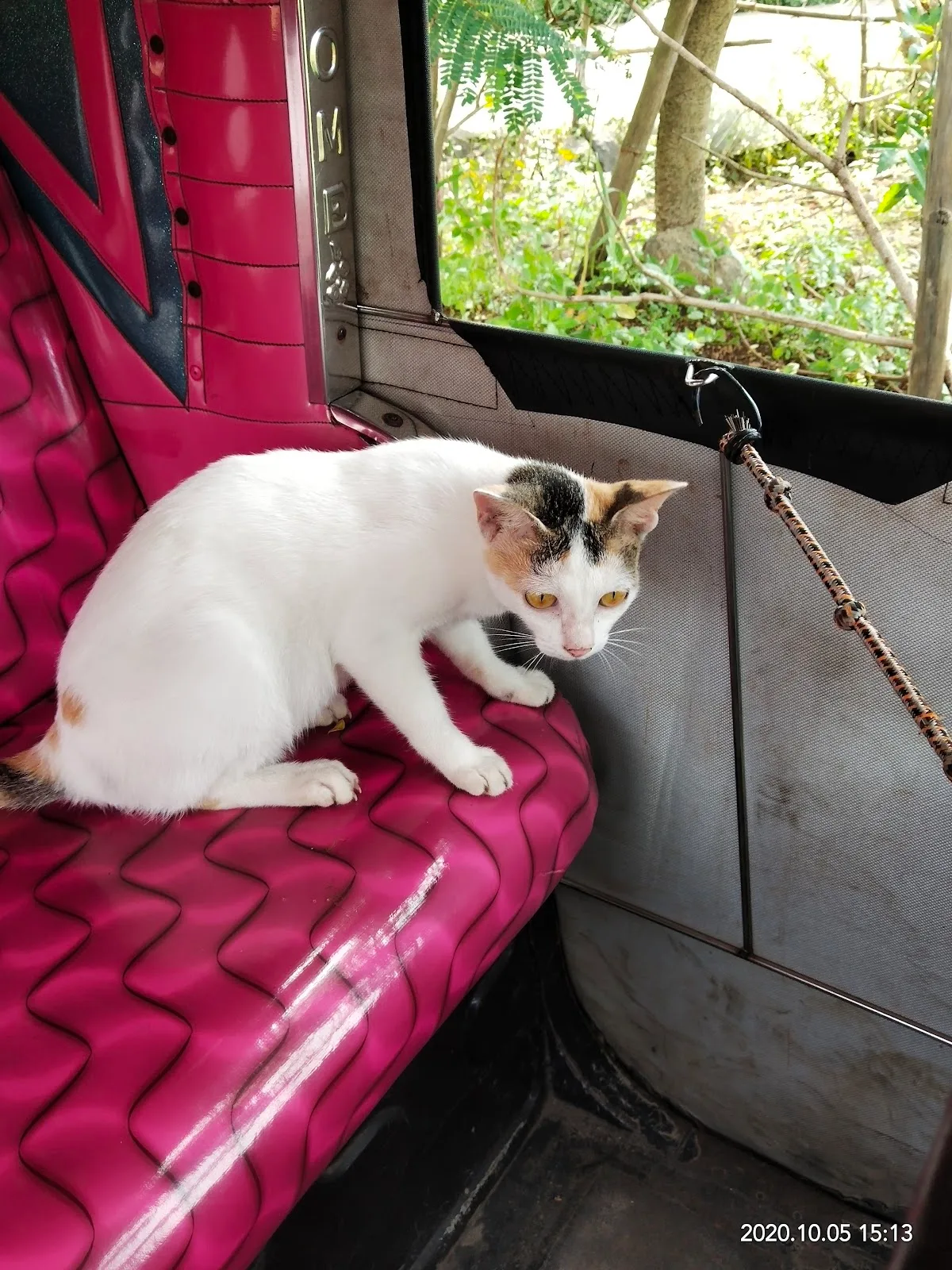Apna Home Animal Shelter