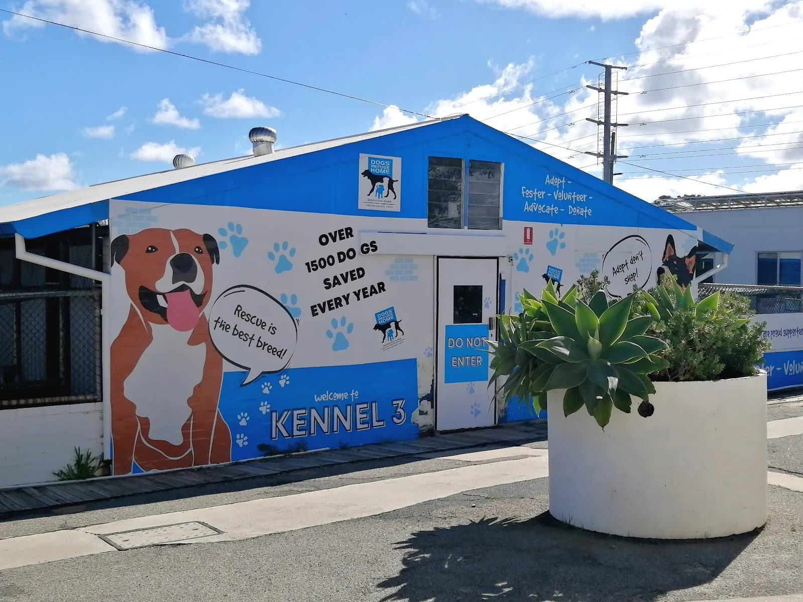 Dogs Refuge Home