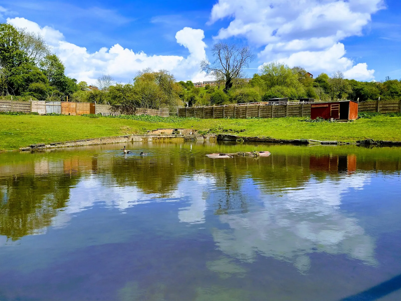 Brockswood Animal Sanctuary