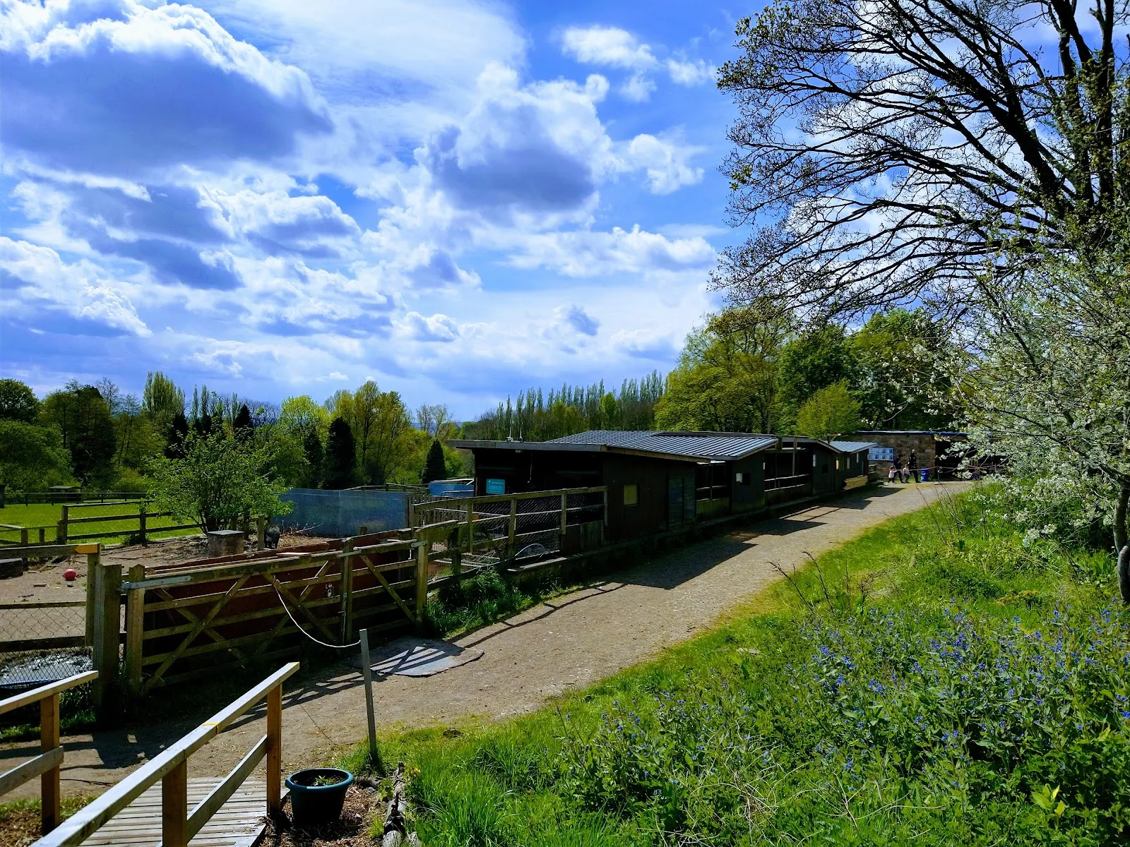 Brockswood Animal Sanctuary
