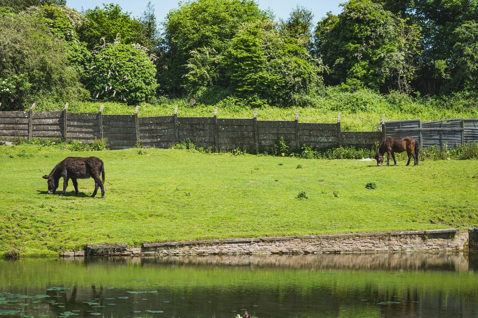 Brockswood Animal Sanctuary