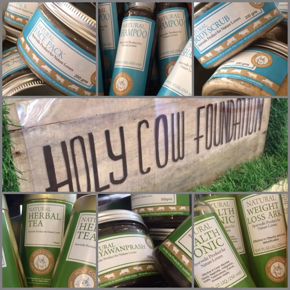 Holy Cow Foundation