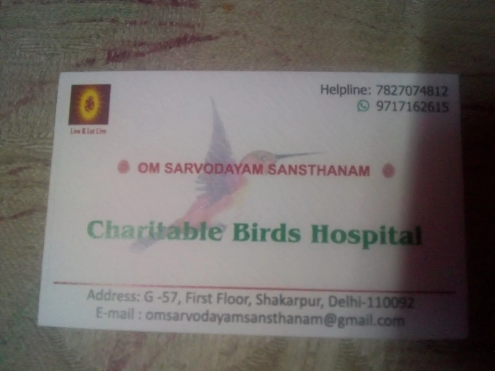 Charitable Birds Hospital