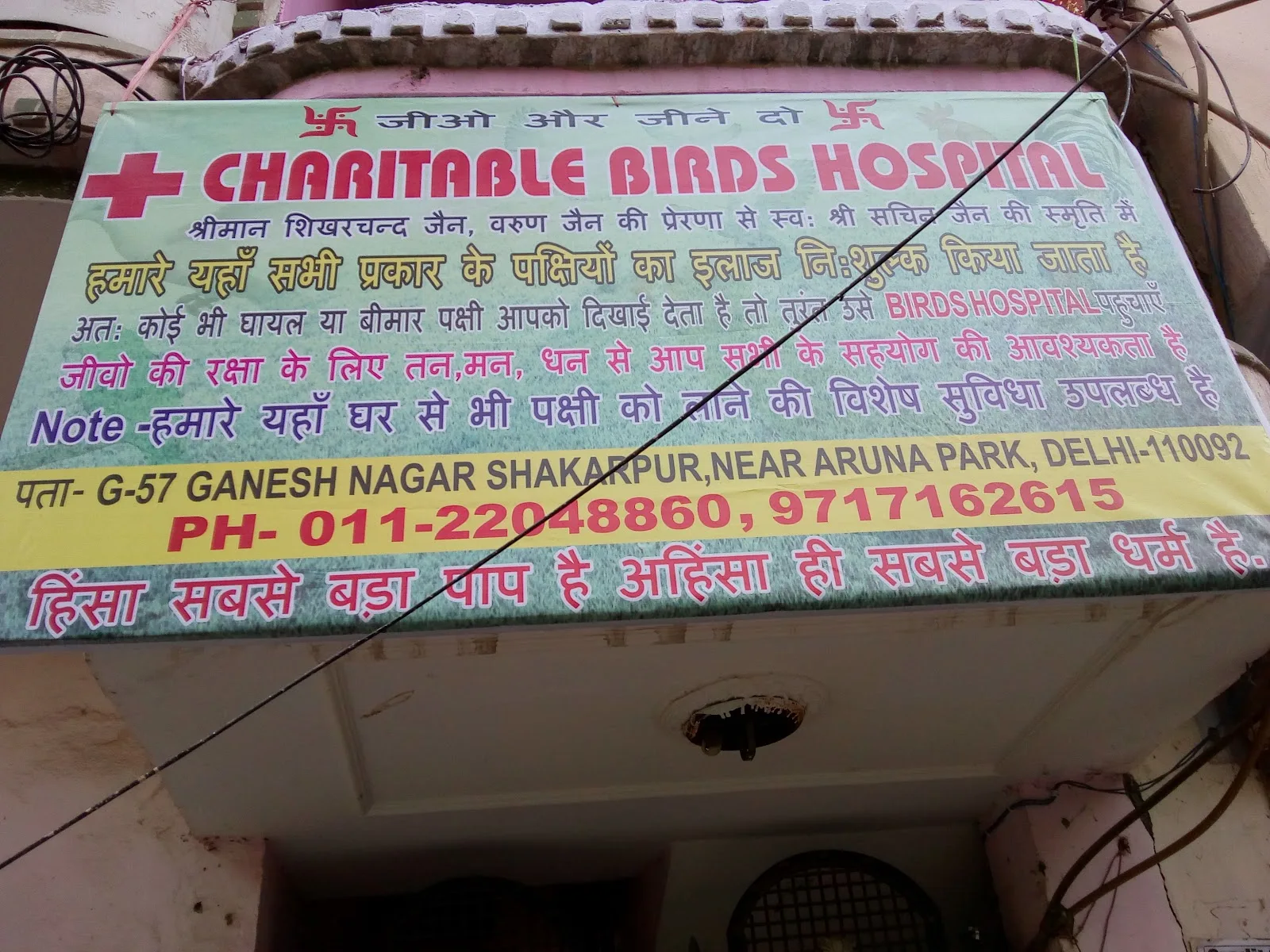 Charitable Birds Hospital