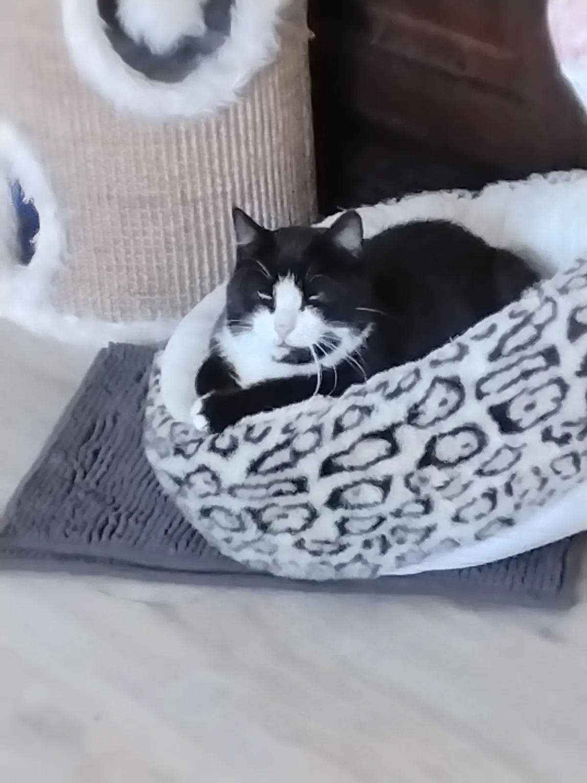Animal welfare Ahrensburg-Großhansdorf e.V.