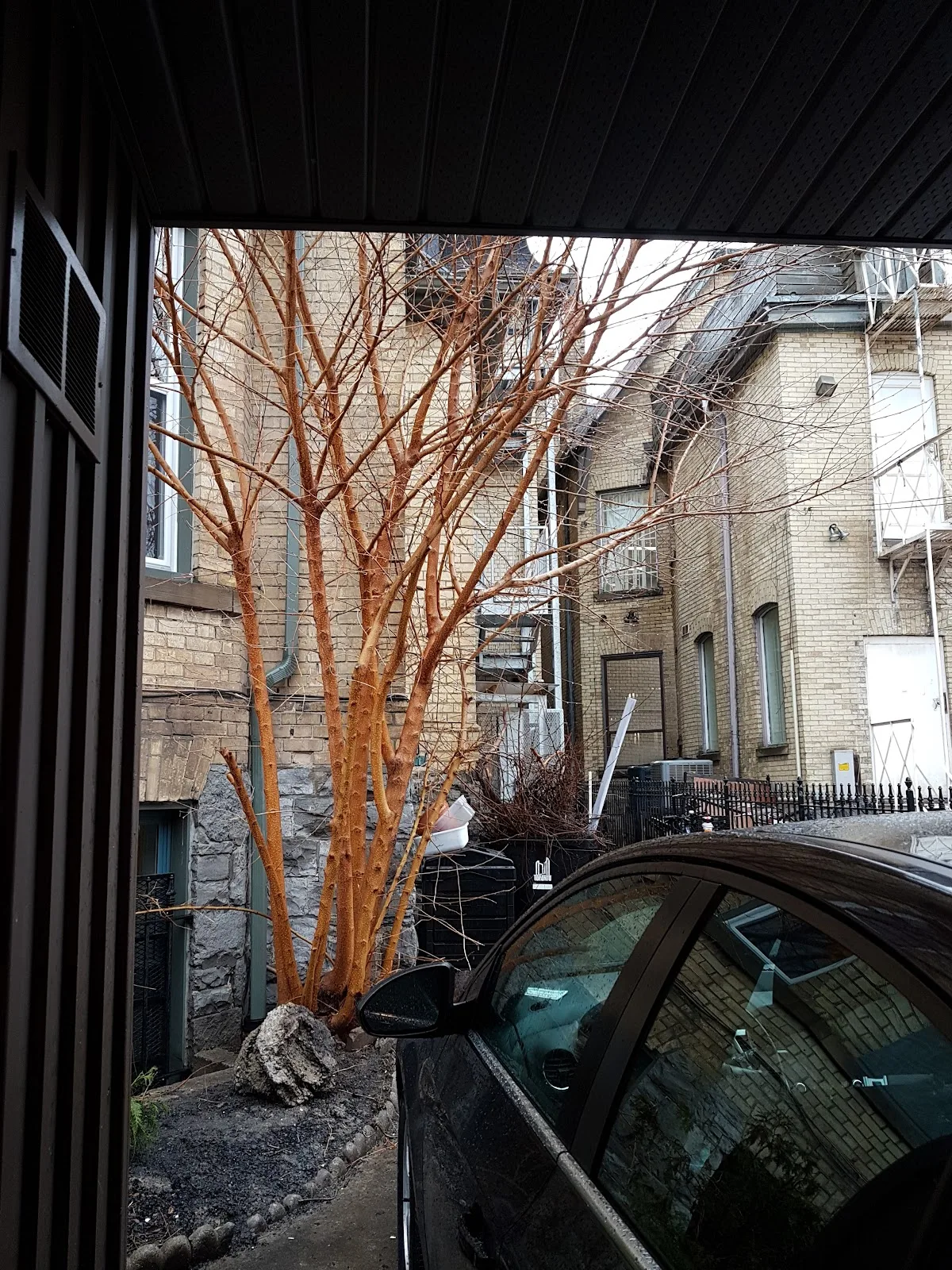 Native Women's Resource Centre