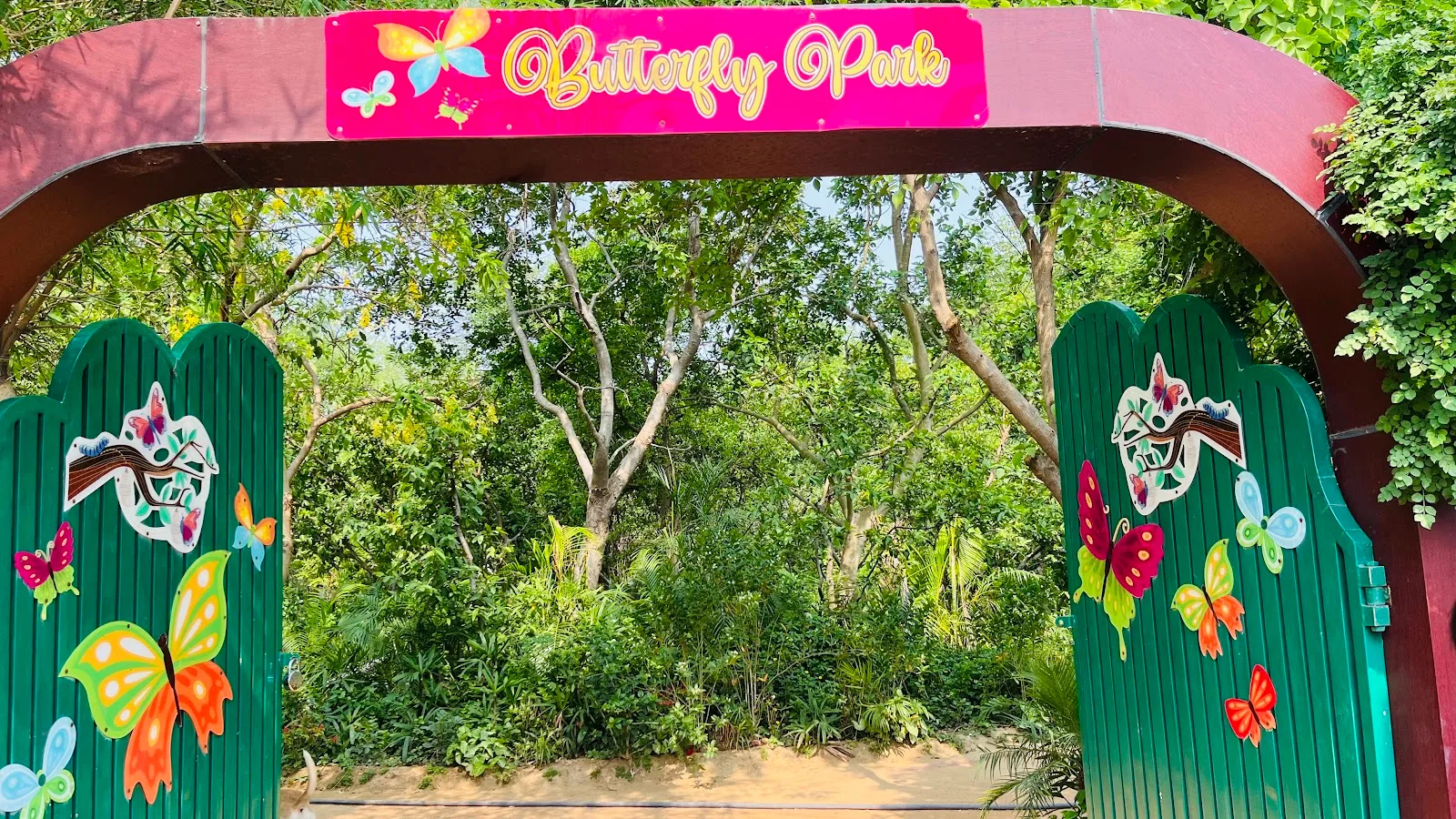 Butterfly Park, Asola Bhatti Wildlife Sanctuary Delhi