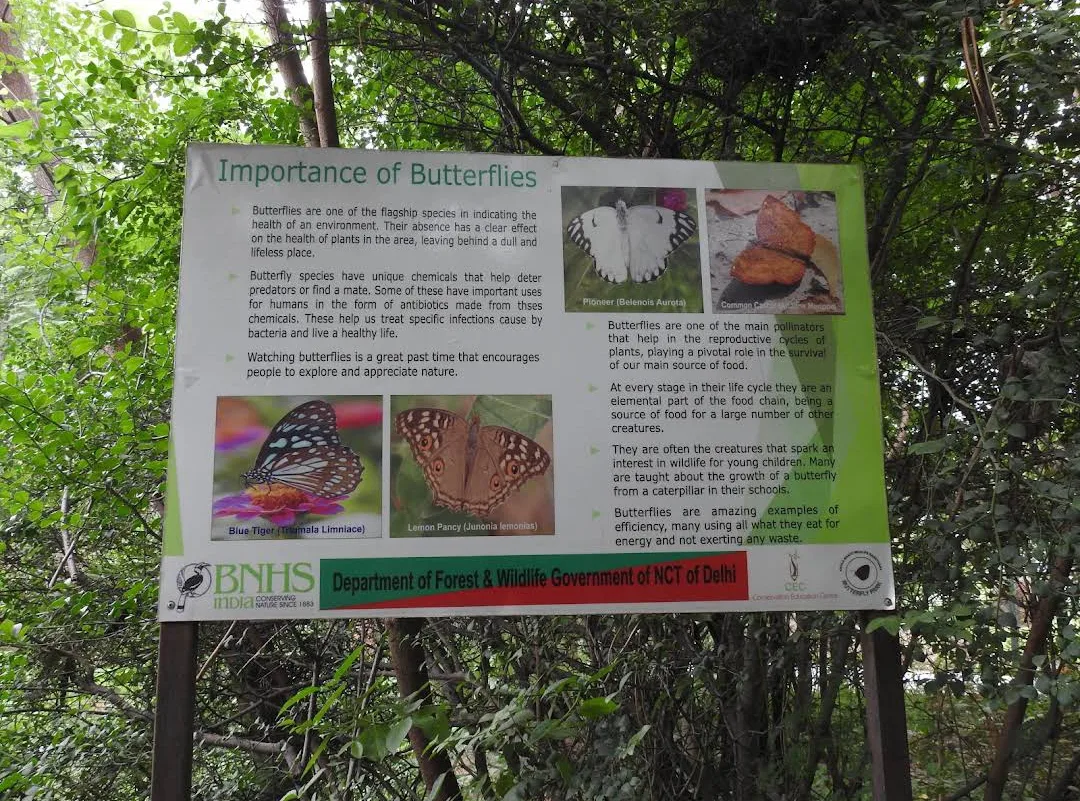 Butterfly Park, Asola Bhatti Wildlife Sanctuary Delhi