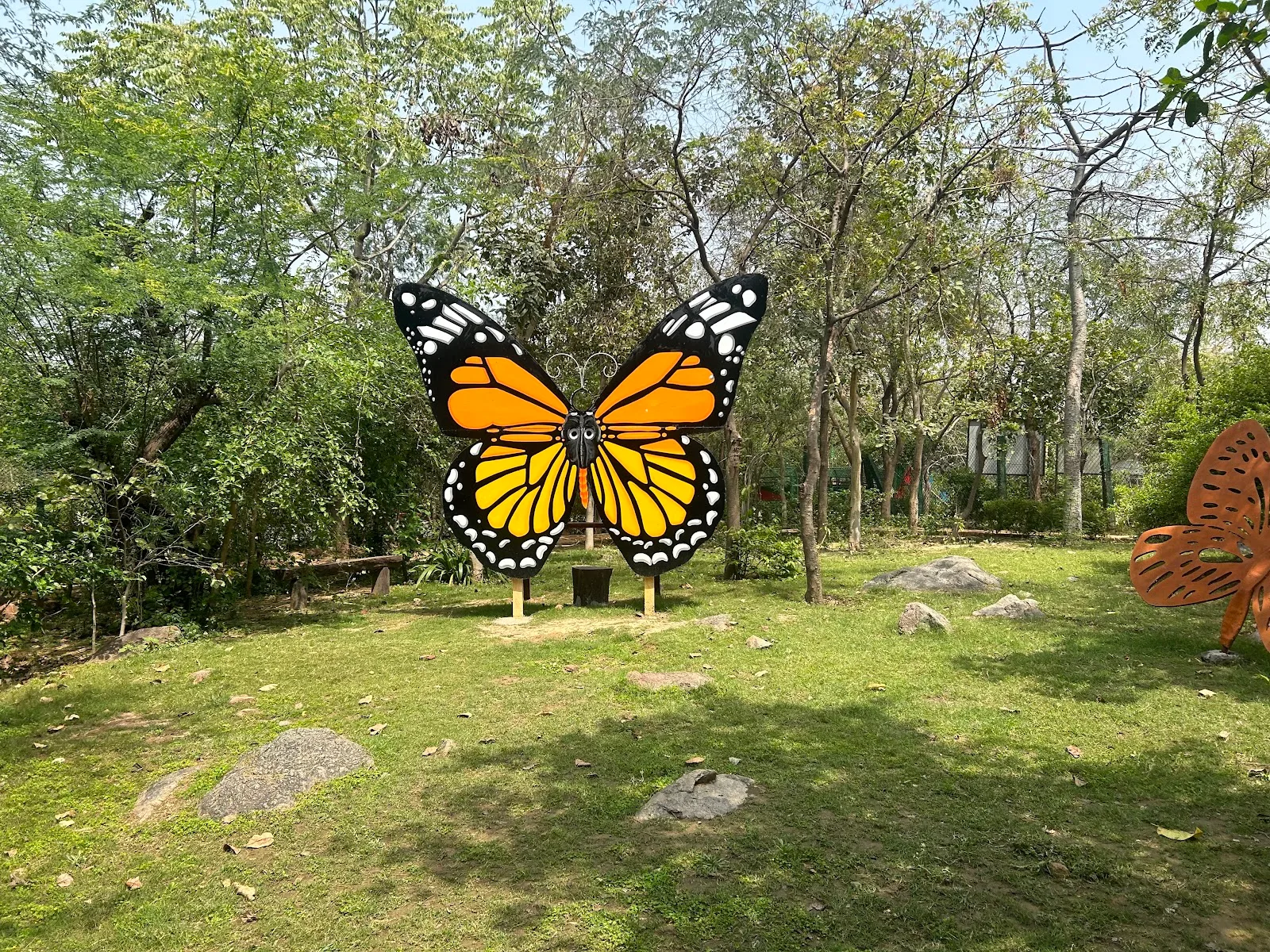 Butterfly Park, Asola Bhatti Wildlife Sanctuary Delhi