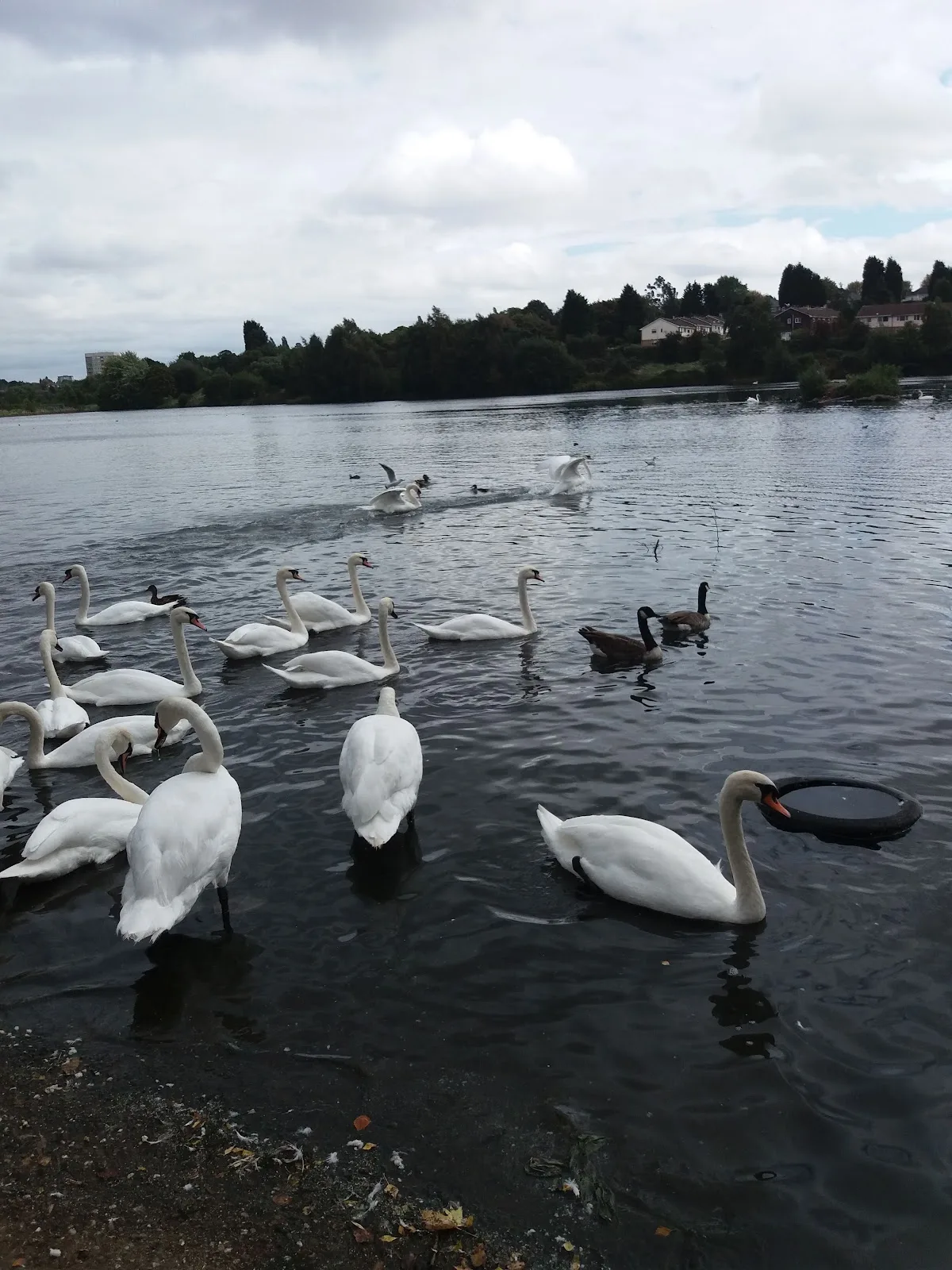 Lakeside Childrens Centre