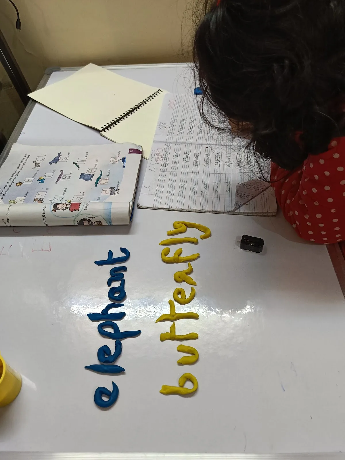 We Care Special Educator