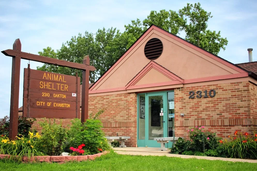 Evanston Animal Shelter