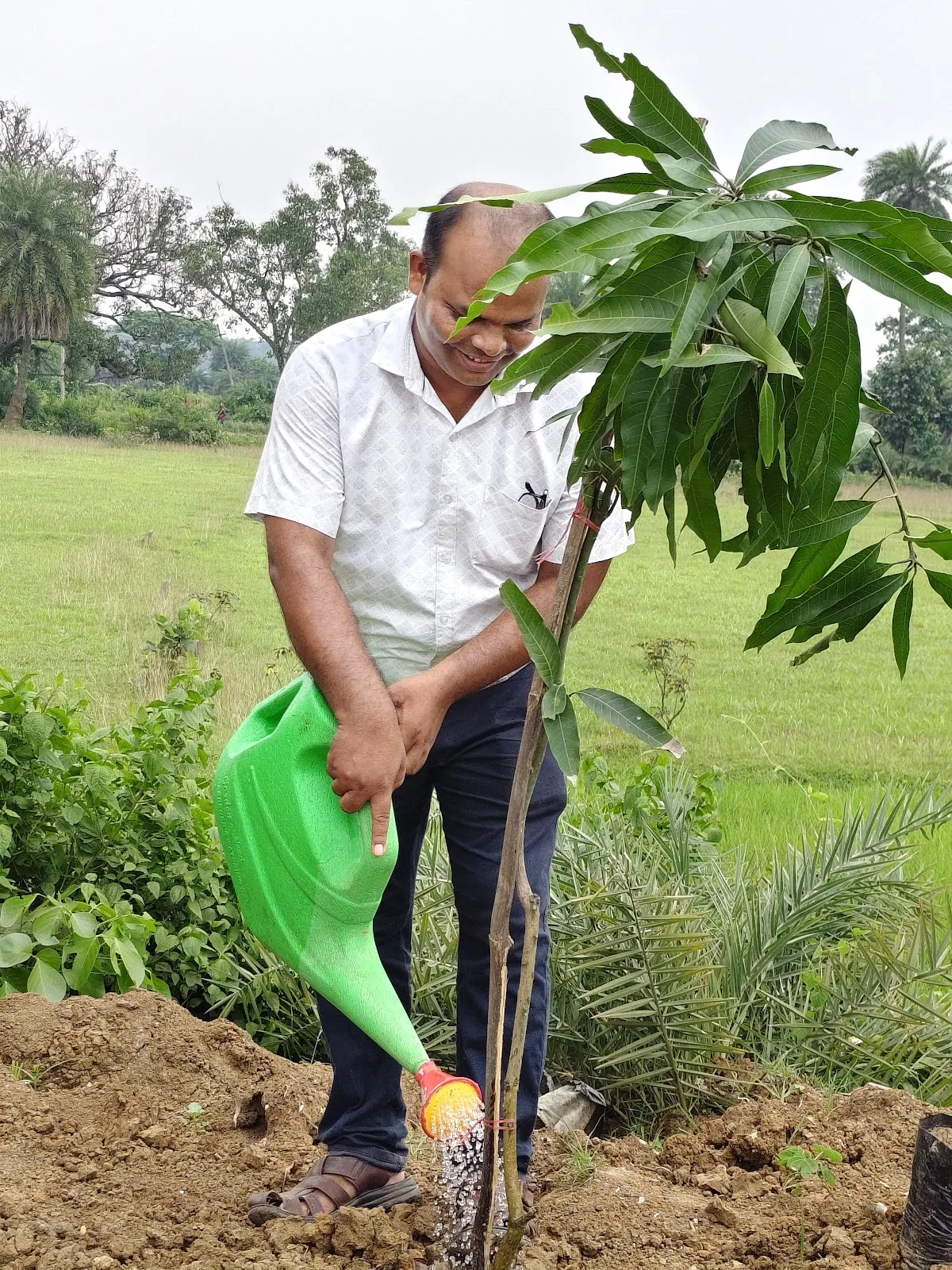 Green Dream Foundation