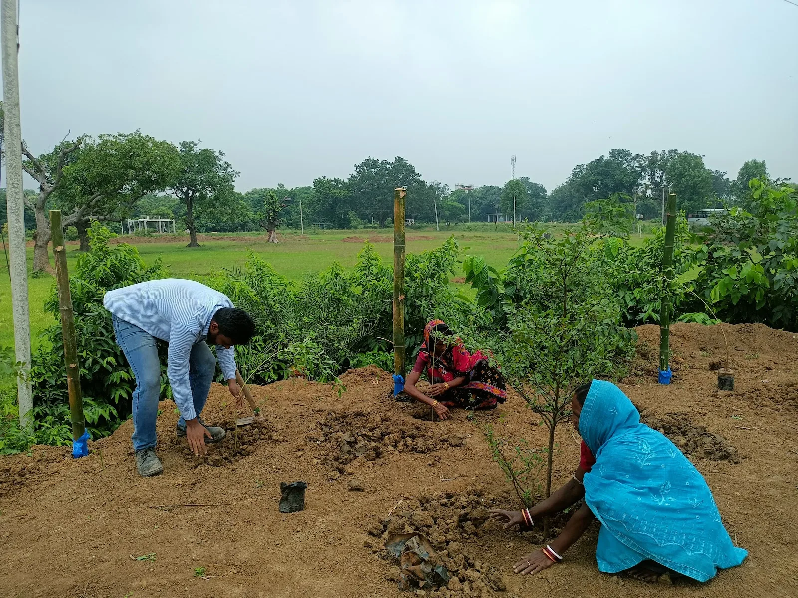 Green Dream Foundation
