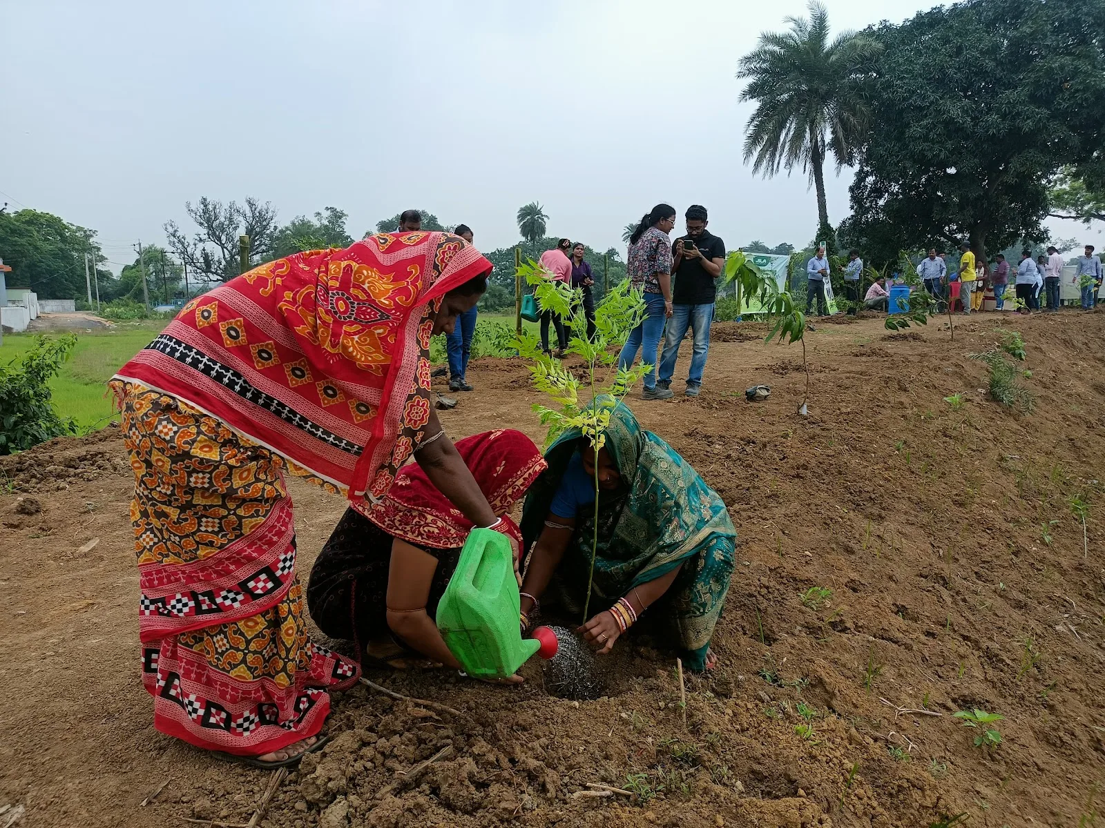 Green Dream Foundation