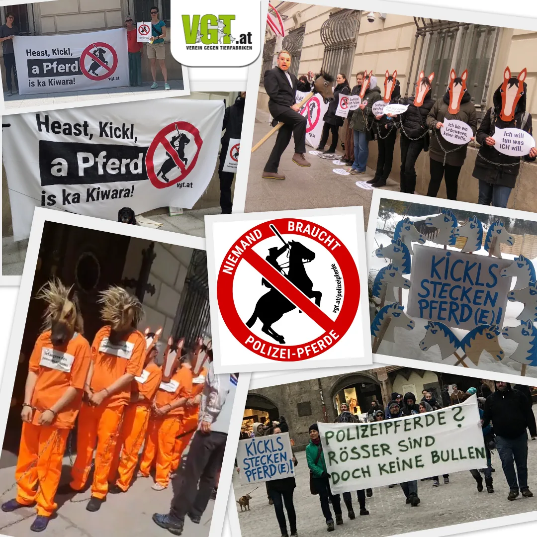 Association against Animal Factories