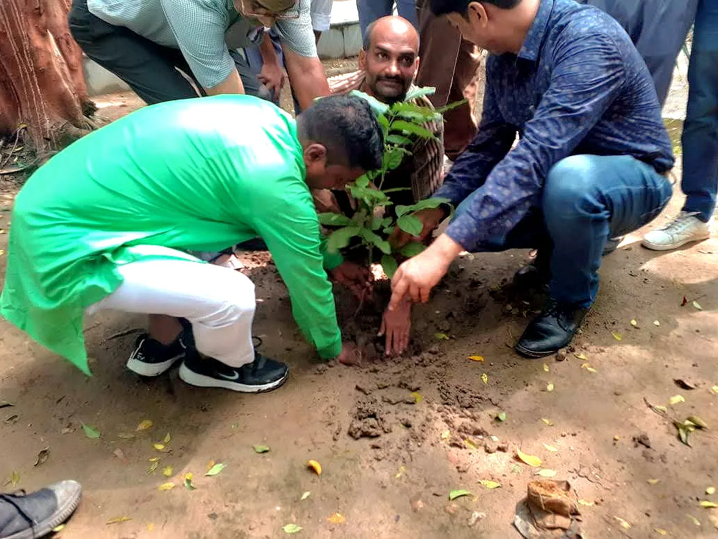 League Organization (NGO), Delhi