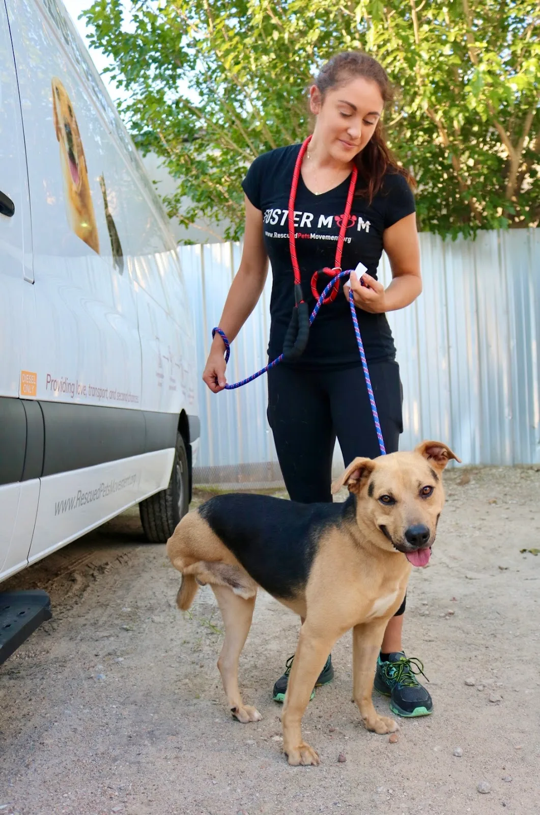 Rescued Pets Movement