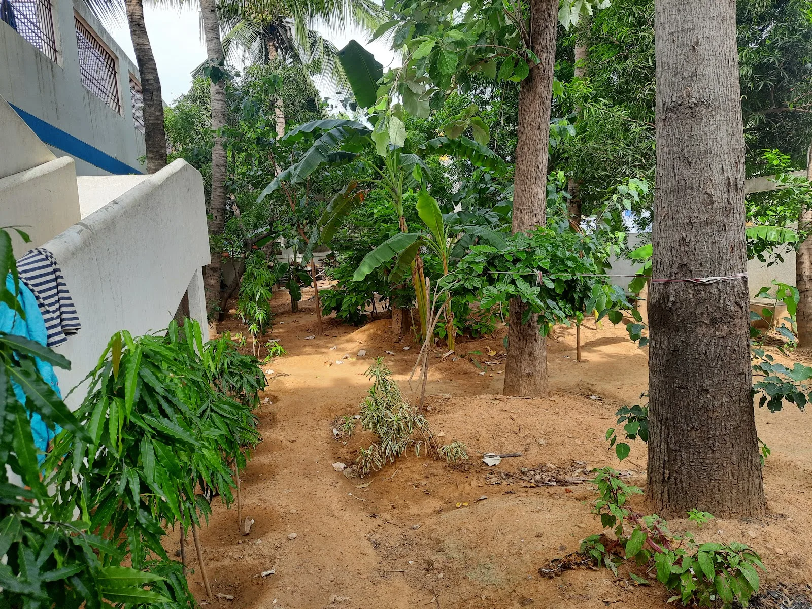 Samarpana - Home for Mentally Challenged and Spastics