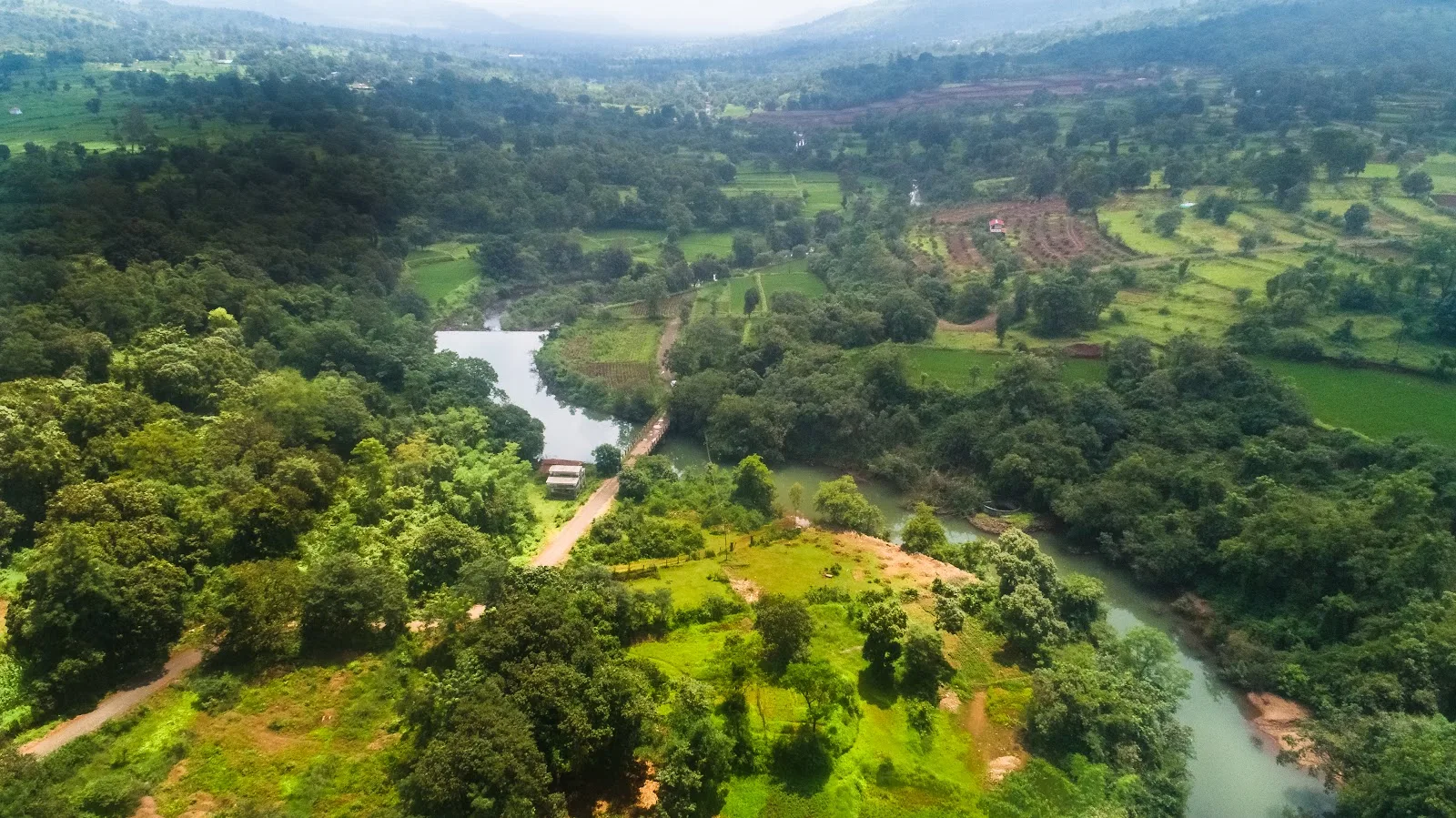 Raintree Foundation