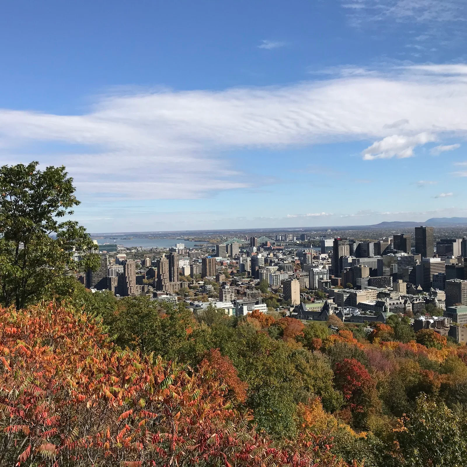 Les Amis de la montagne