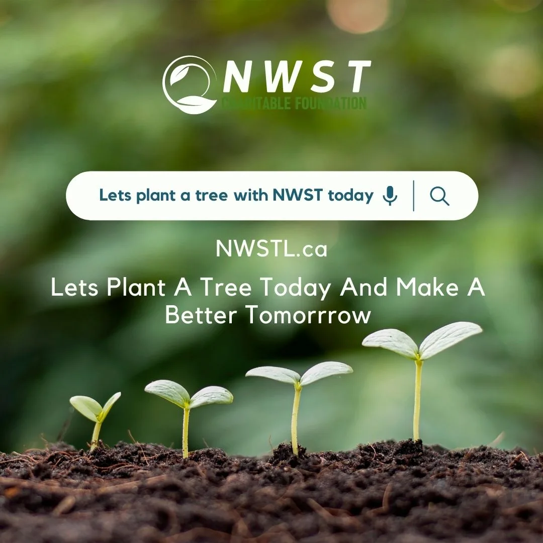NWST Charitable Foundation