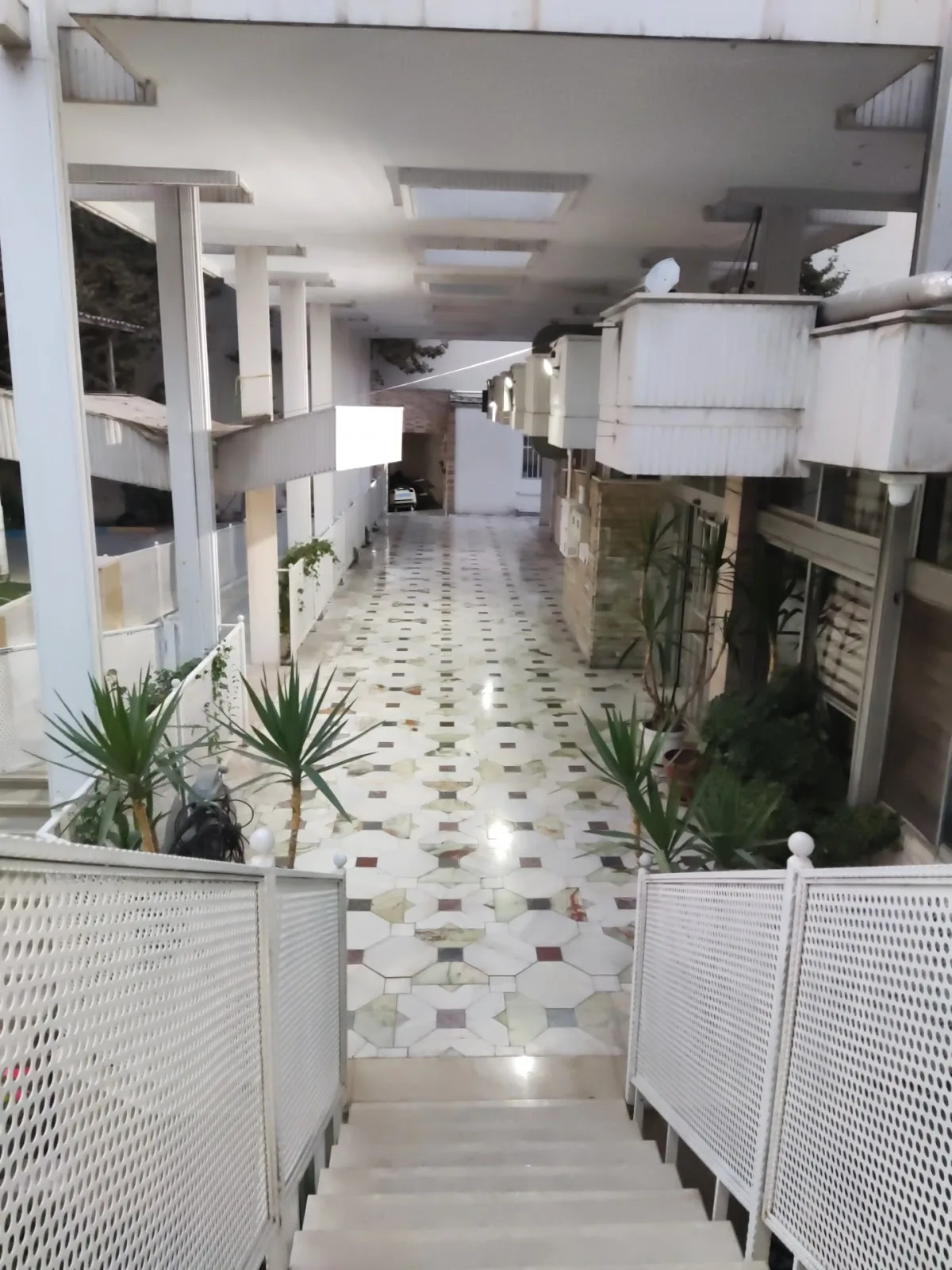 Tehran Charity For Rehabilitation Mentally Disabled