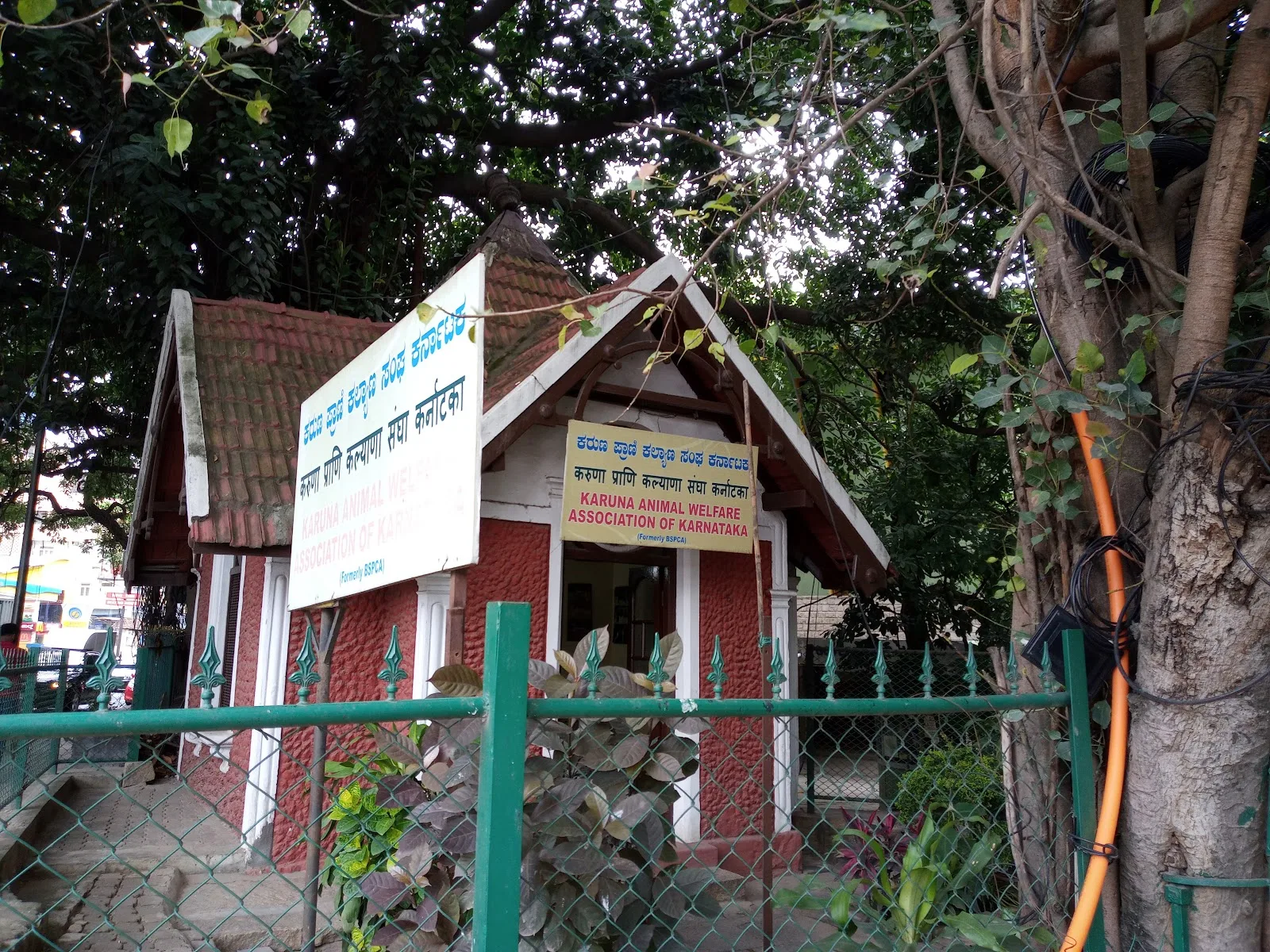 Karuna Animals Welfare Association Of Karnataka