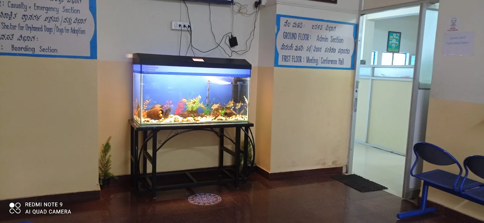 Karuna Animal Shelter
