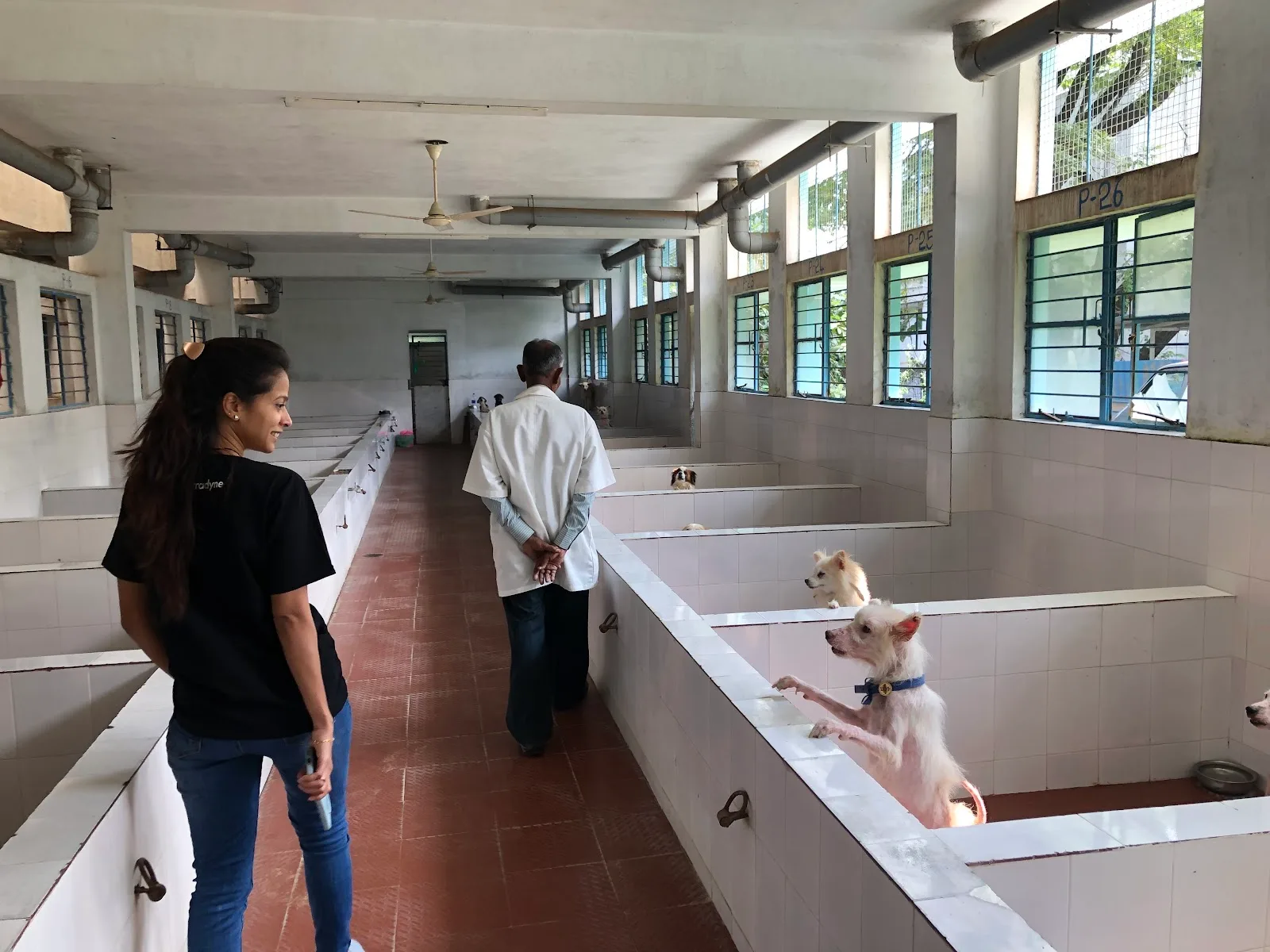 Karuna Animal Shelter