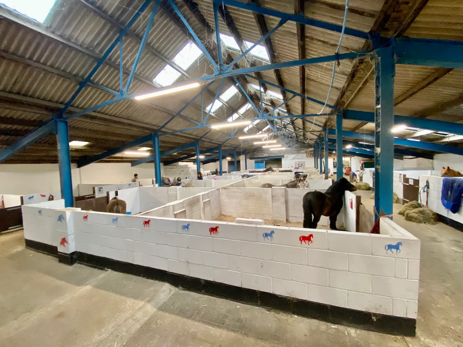 Only Foal & Horses Sanctuary