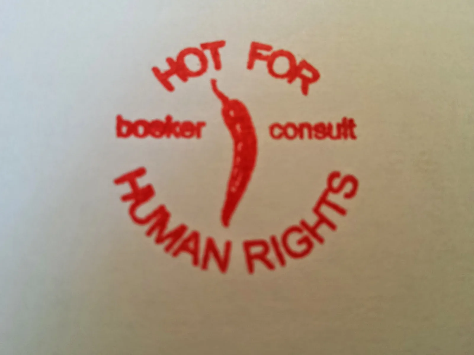 Beratung Menschenrechte & Genderfragen/ Consultancy Human Rights & Gender Issues