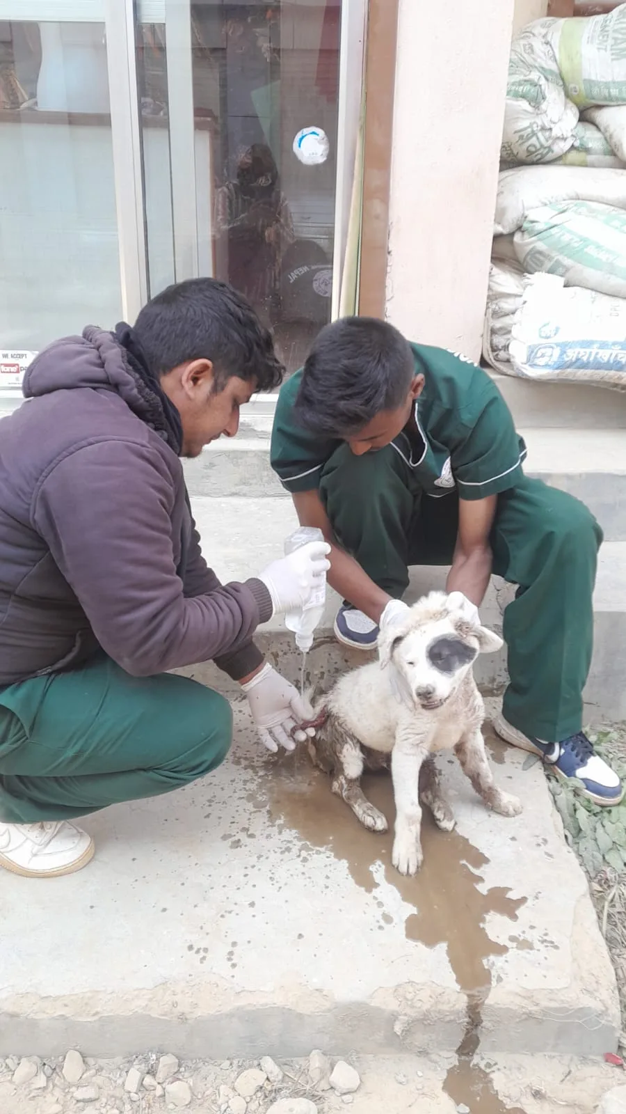 SPCA International