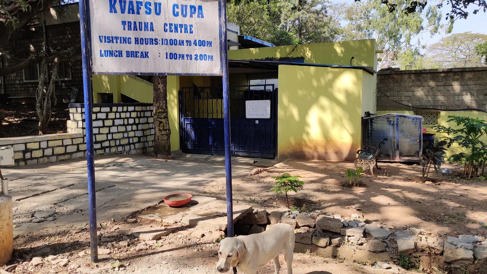 CUPA Trauma Centre