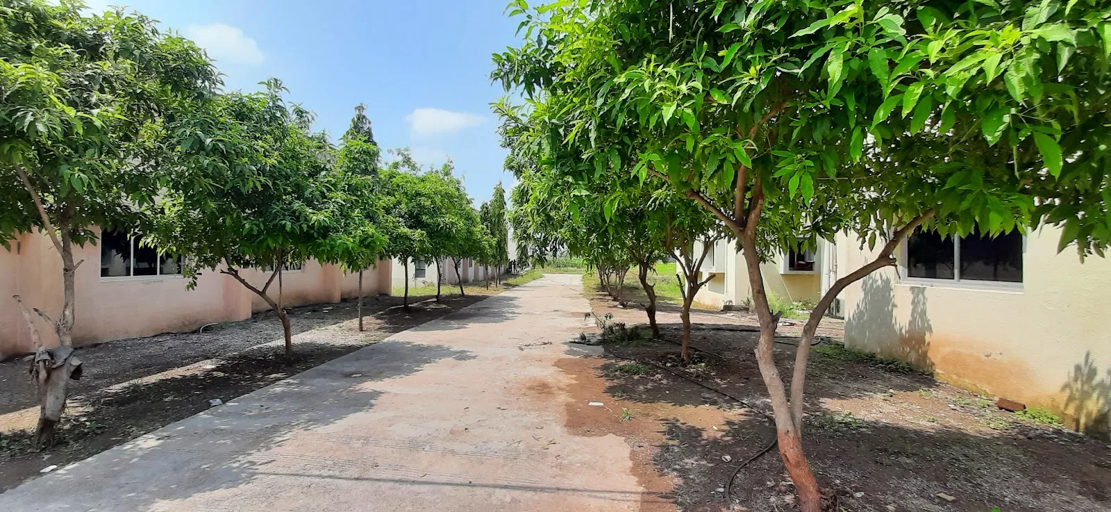 Krishi Vigyan Kendra, Jamnagar
