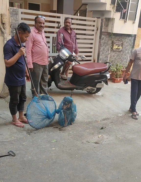 Kiran Roy pet ambulance service