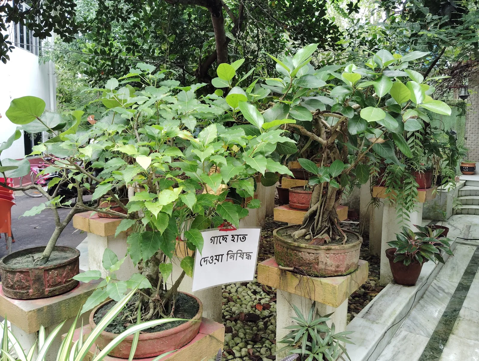 Asha Bhavan Centre