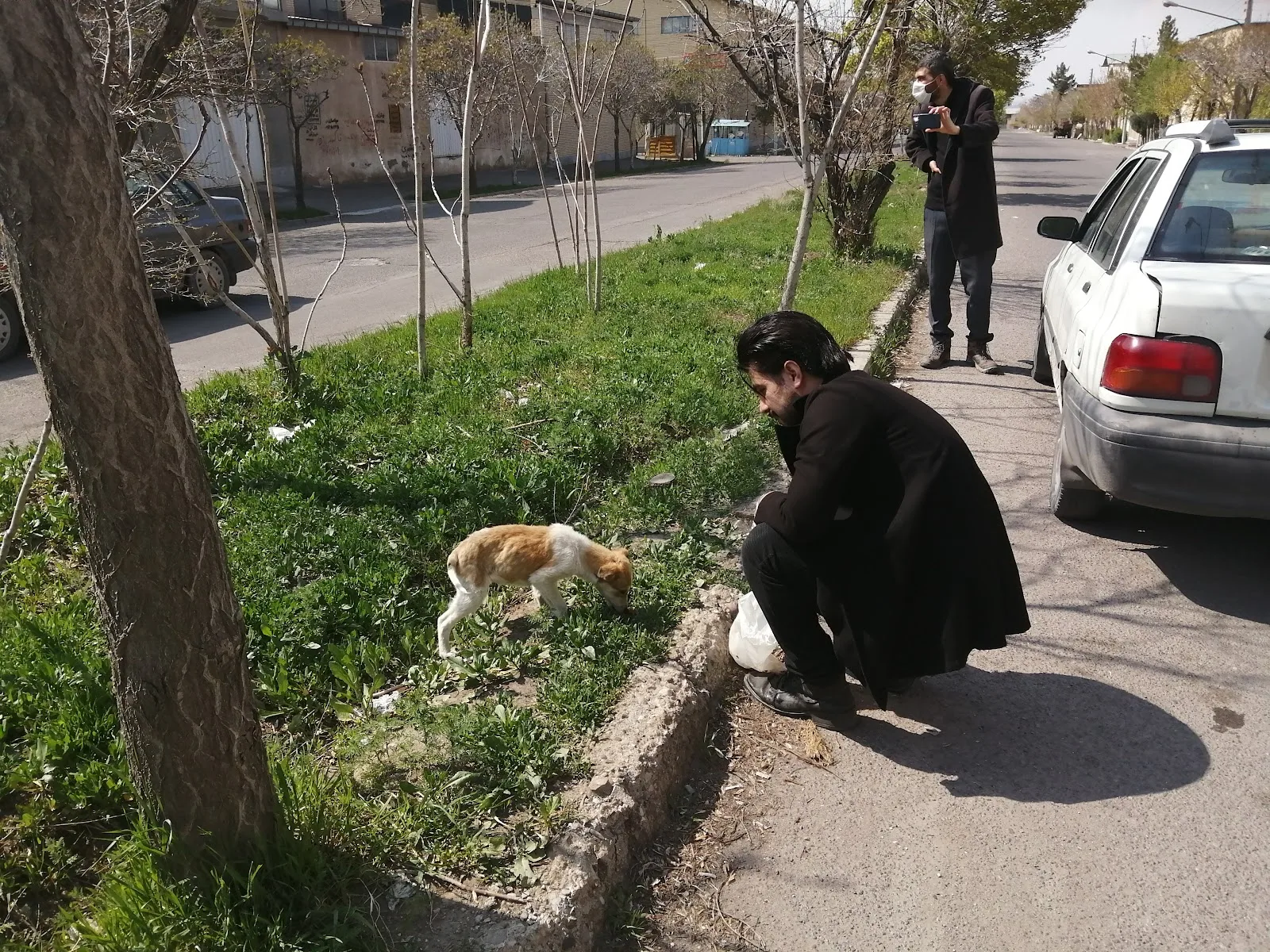 Pardis Animal Shelter