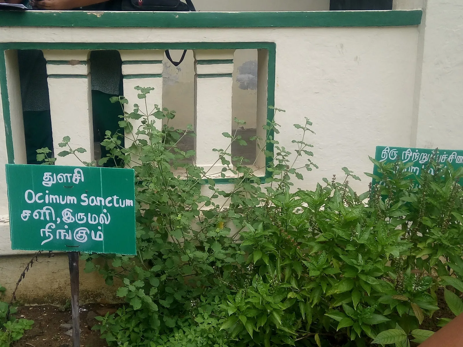 Avvai Home & Orphanage