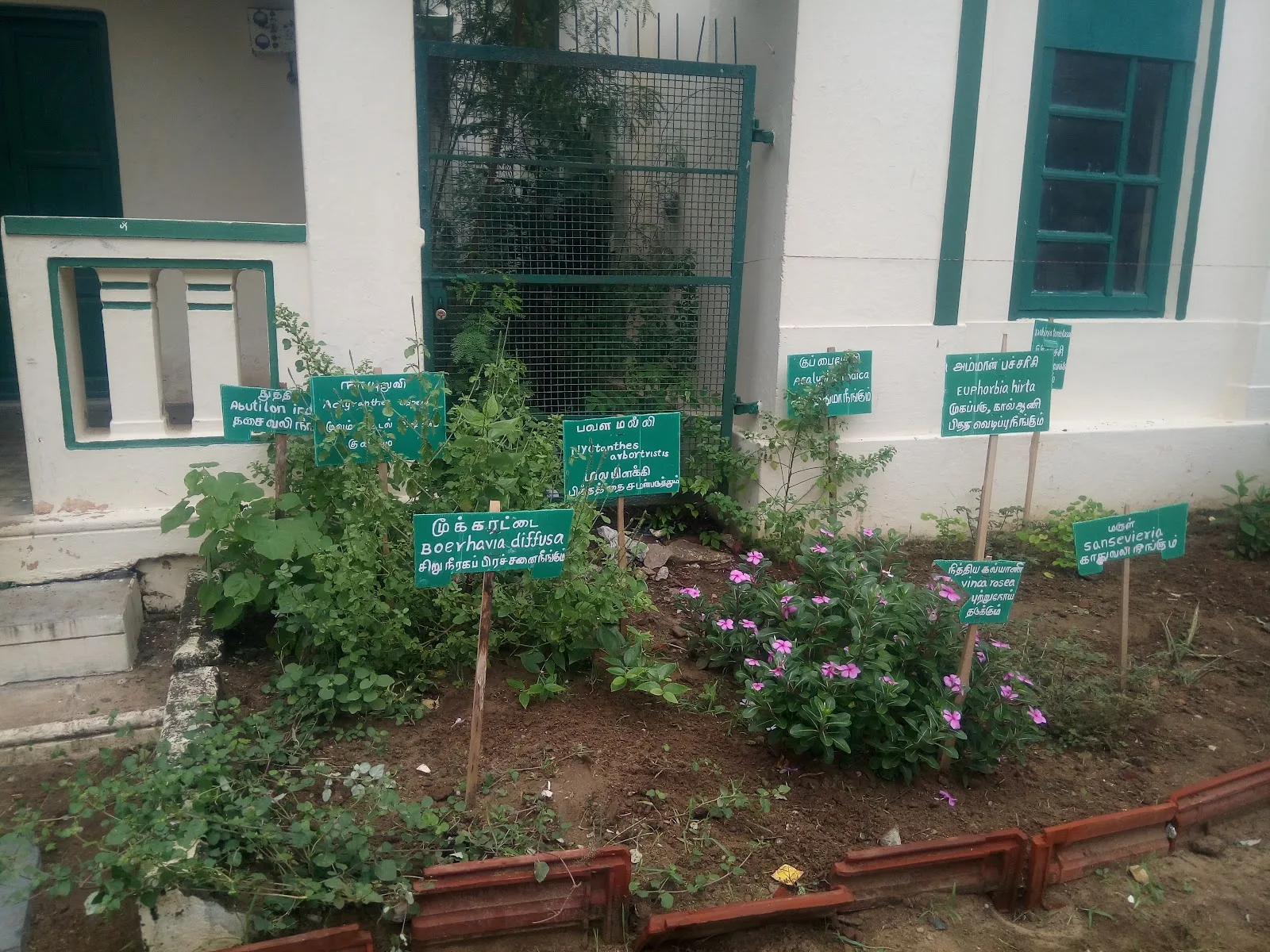 Avvai Home & Orphanage