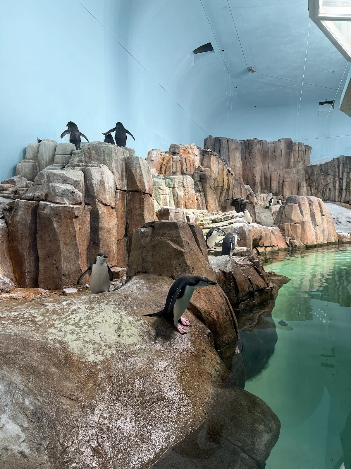 Montreal Biodome
