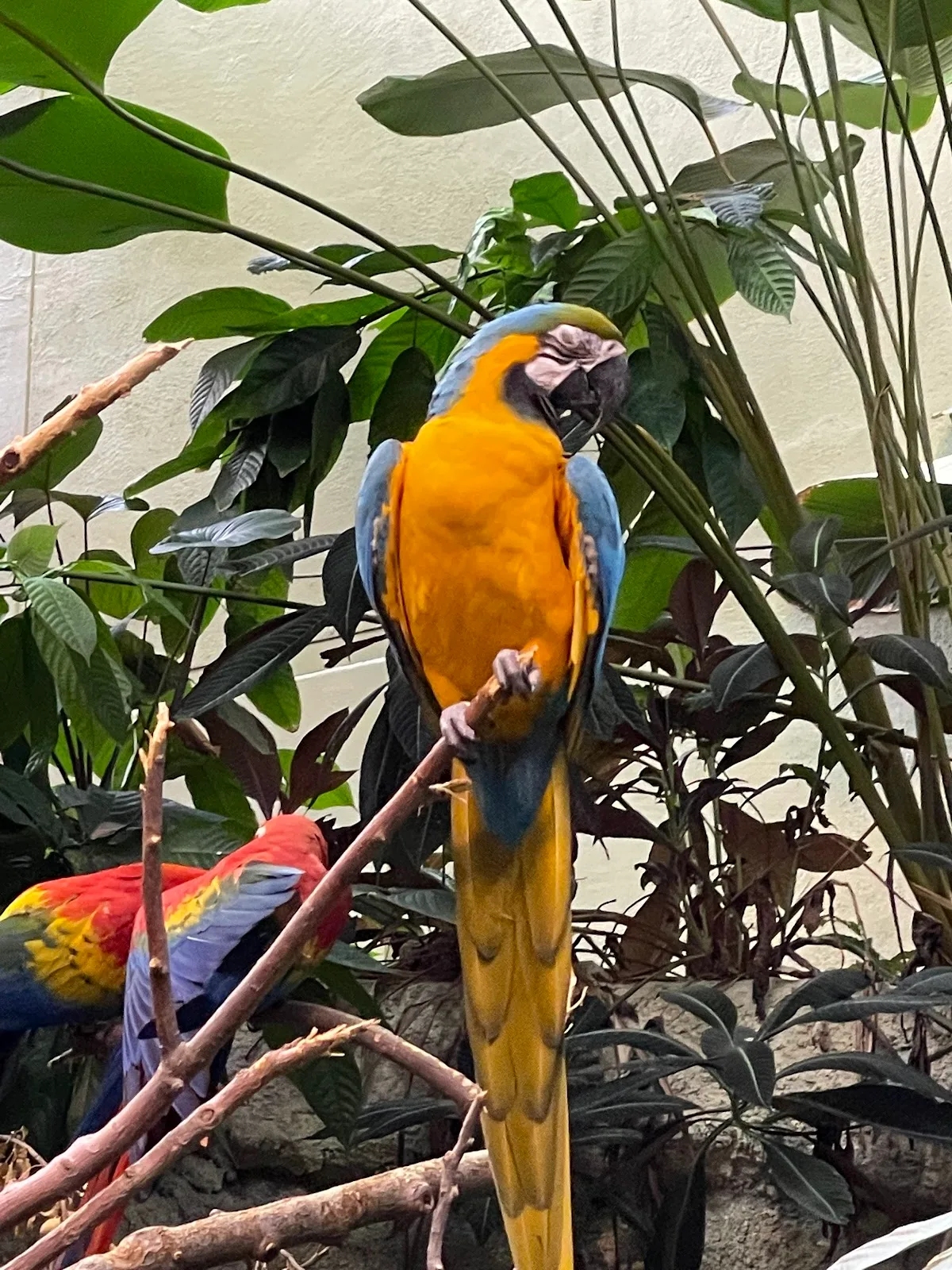 Montreal Biodome