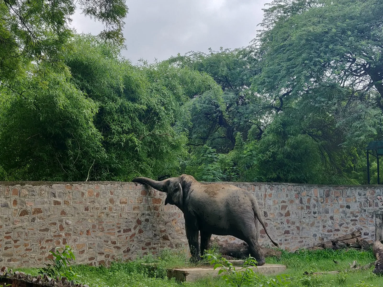 Elephant Stable